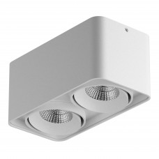 052326-IP65 Светильник MONOCCO LED 2х10W 1200LM 30G БЕЛЫЙ 3000K (в комплекте)